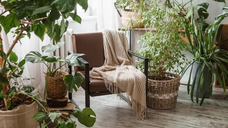 Understanding the home decor industry A chair in a room surrounded by green plants.