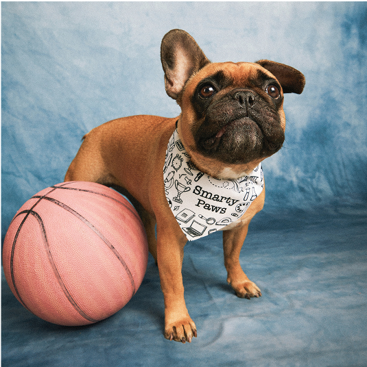 Personalization 21